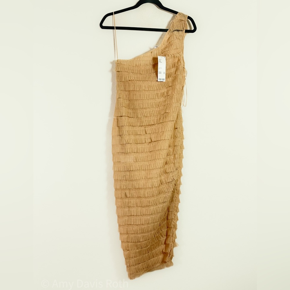 Kimchi Blue Sheer Ruffle Dress in Beige Size Small NWT - Picture 3 of 9